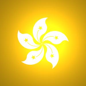 國內(nèi)到香港物流,大陸至香港貨運,廣州物流到香港